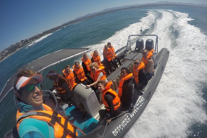 1.5-Hour Seal Viewing Boat Tour in Plettenberg Bay - Who will enjoy this boat trip most