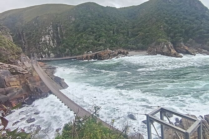 1 Day Garden Route Tour from Port Elizabeth to the Crags - Birds of Eden and the free-flight aviary