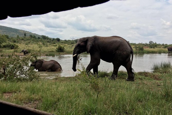1 Day Safari from Johannesburg - Leaving Johannesburg at 6:00 a.m.