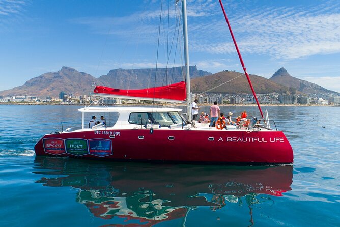 1- Hour Catamaran Cruise Cape Town - Key points to know before booking
