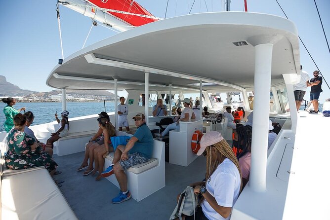 1- Hour Catamaran Cruise Cape Town - Marine life, other boats, and the mood on board