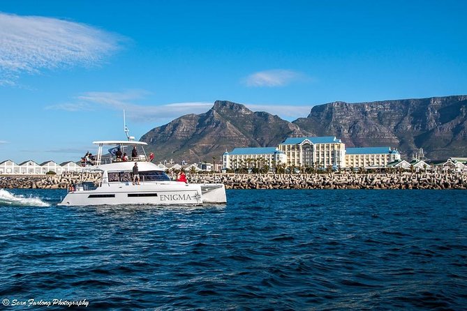 1 Hour Coastal Catamaran Cruise from Cape Town - Table Mountain and the city skyline from offshore