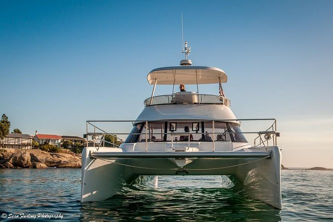 1 Hour Coastal Catamaran Cruise from Cape Town - Wildlife sightings depend on the day