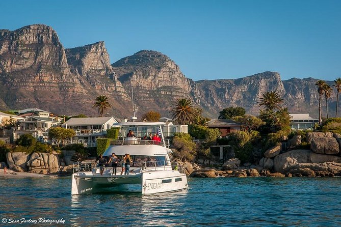 1 Hour Coastal Catamaran Cruise from Cape Town - Is the catamaran comfortable for nervous sailors?