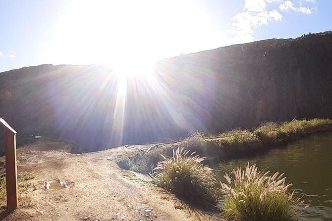 100 % Catch Rate Cape Town Wild Tours - The catfish and carp targets