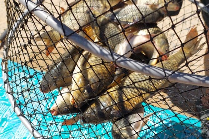 100 % Catch Rate Cape Town Wild Tours - Wildlife beside the fishing water