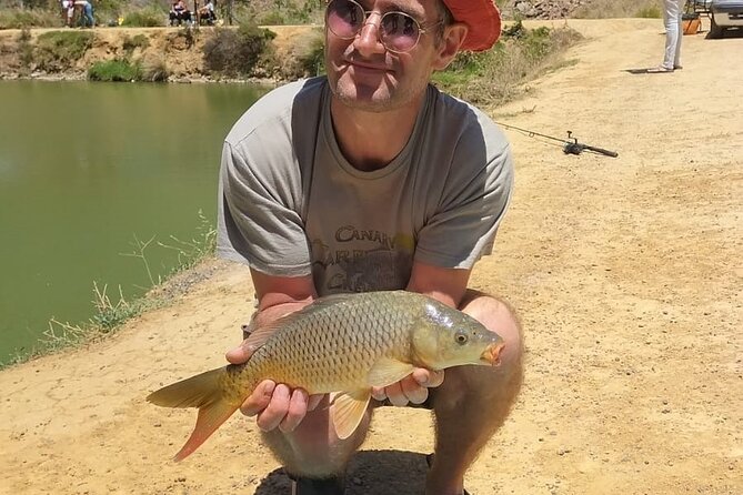 100 % Catch Rate Cape Town Wild Tours - A gazebo, chairs, snacks, and local food
