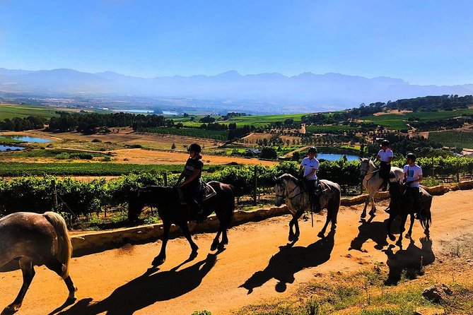1h – Horse Trail - A quiet hour in the Franschhoek wine valley