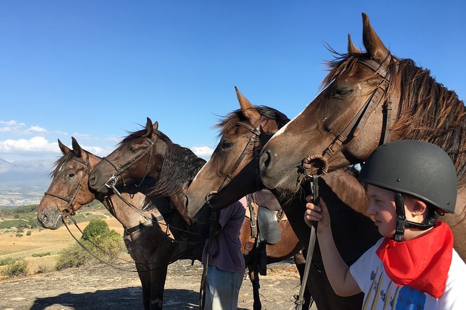 1h – Horse Trail - Why the one-hour length can work