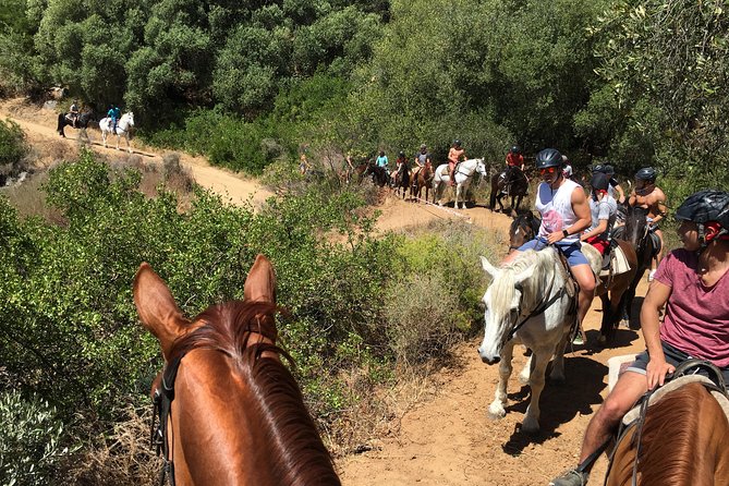 1h – Horse Trail - The value of 60.70 dollars