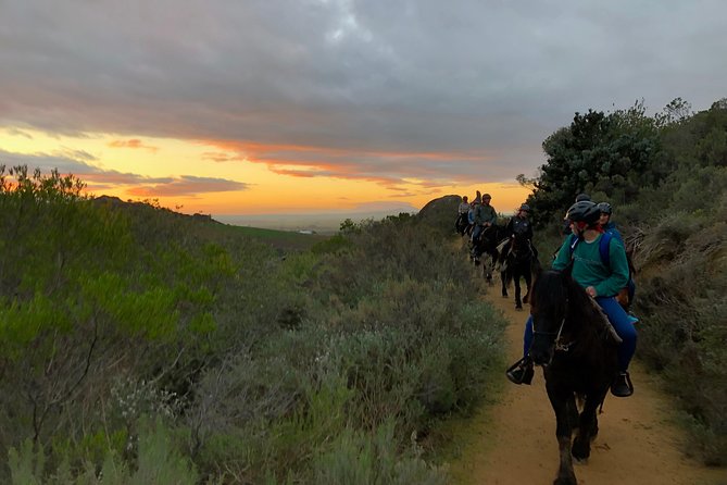 1h – Horse Trail - Family appeal and the human touch