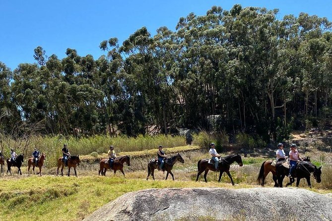 1h – Horse Trail - Timing, transport, and weather