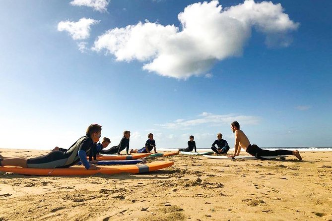1h15min surfing lessons in Victoria Bay & Wilderness - Who Should Book This Victoria Bay Lesson?