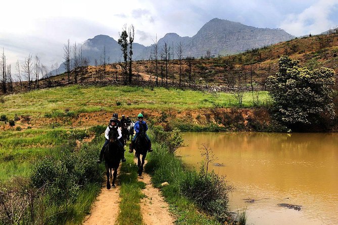 1h30m – Horse Trail - Through the vineyards and beneath the oak trees