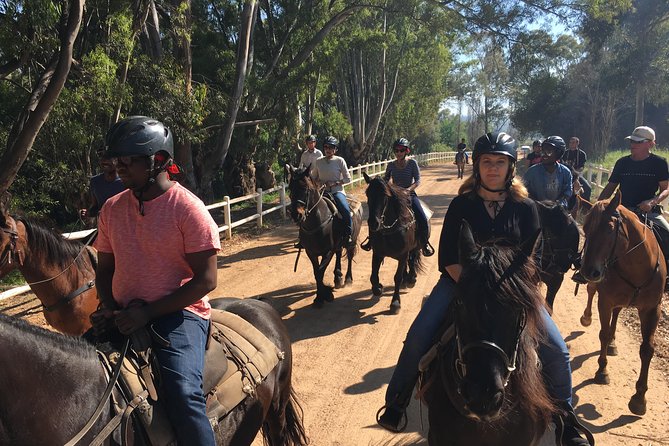 1h30m – Horse Trail - The climb toward Paarl Mountain