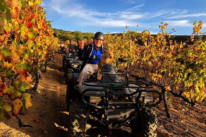 1h30m – Nature Quad Trail - The countryside, vineyards, and rough ground