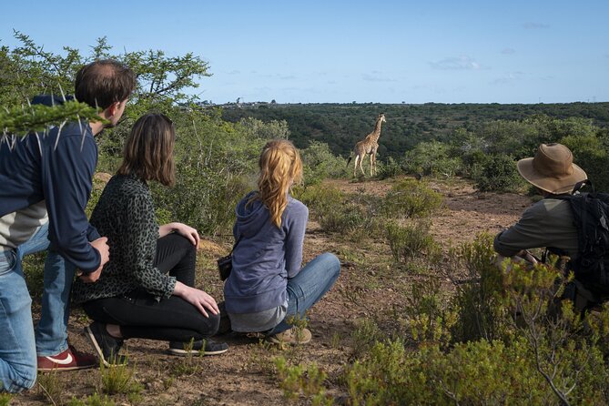 2 Day Addo Elephant Park Safari - A morning on the Sundays River