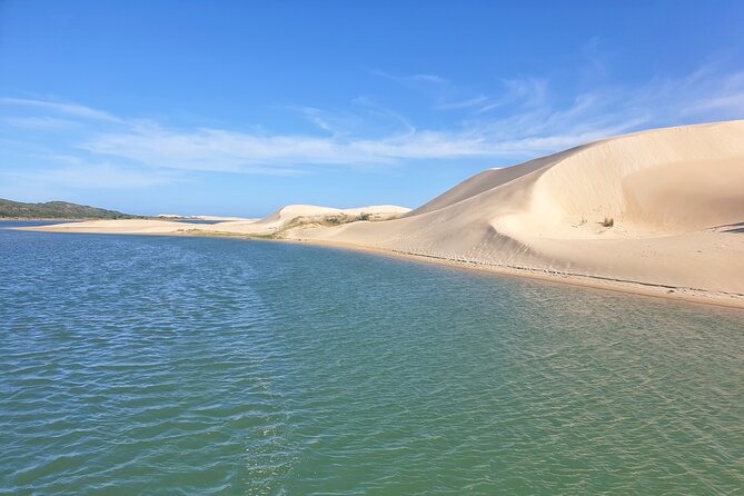 2 Day Addo Elephant Park Safari - Timing, pickup, and practical planning