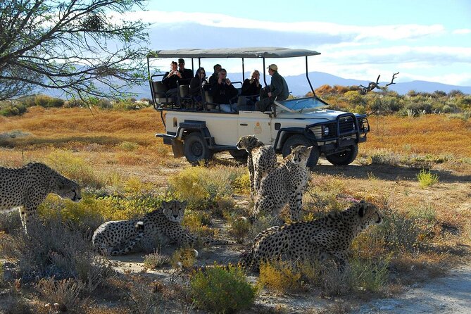2 Day Inverdoorn Luxury Safari - Arriving at Inverdoorn around lunchtime