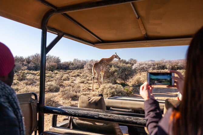 2 Day Inverdoorn Luxury Safari - The sunset game drive in an open vehicle
