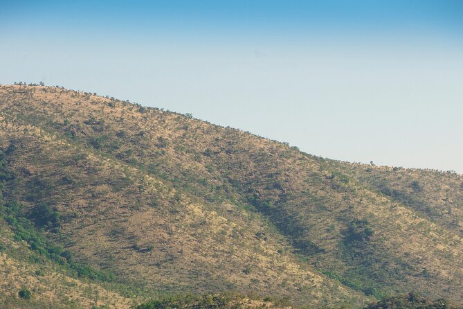 2 Day Pilanesberg Camping Safari - Why Pilanesberg works for a short safari