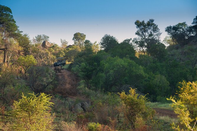 2 Day Pilanesberg Camping Safari - The midday closed-vehicle drive