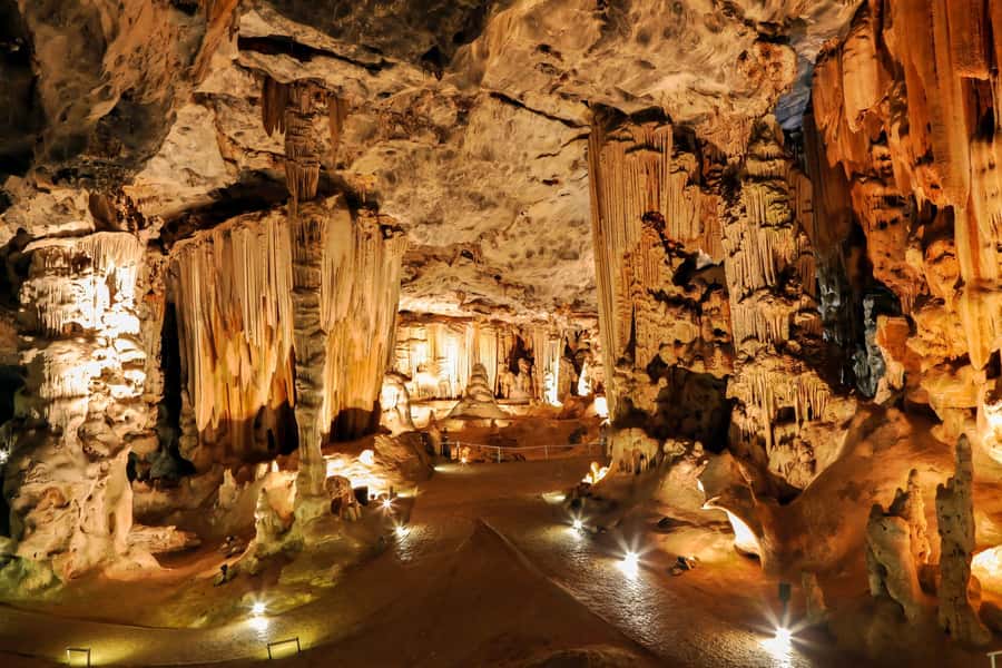2 Day Small Group Cape Town: Garden Route Big 5 Safari Tour - Buffelsdrift brings the first safari drive