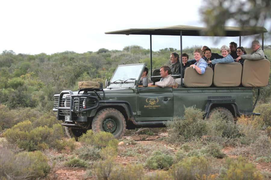2 Day Small Group Cape Town: Garden Route Big 5 Safari Tour - Giraffes and ostriches on the second morning