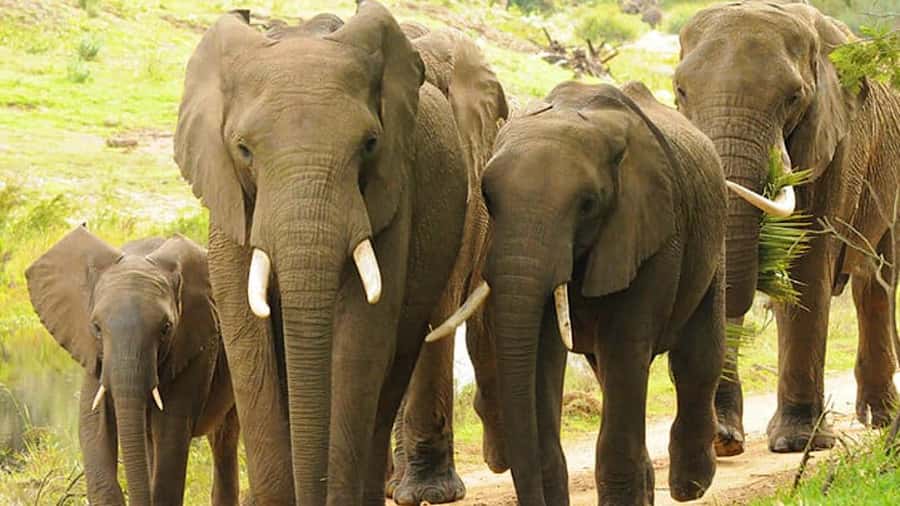 2 Day Small Group Cape Town: Garden Route Big 5 Safari Tour - The long ride back to Cape Town