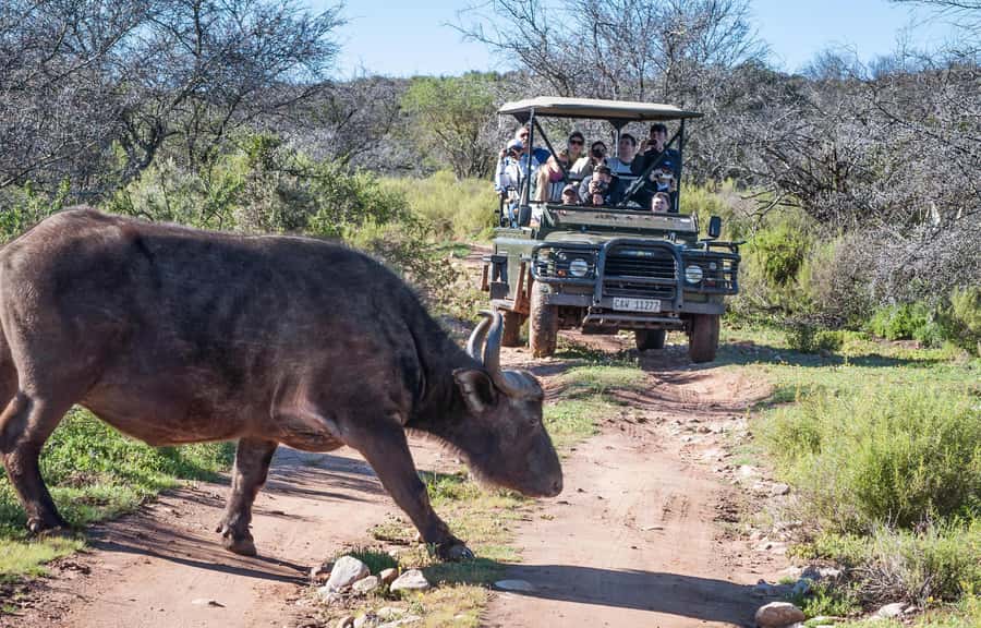 2 Day Small Group Cape Town: Garden Route Big 5 Safari Tour - One hour beneath the Cango Mountains