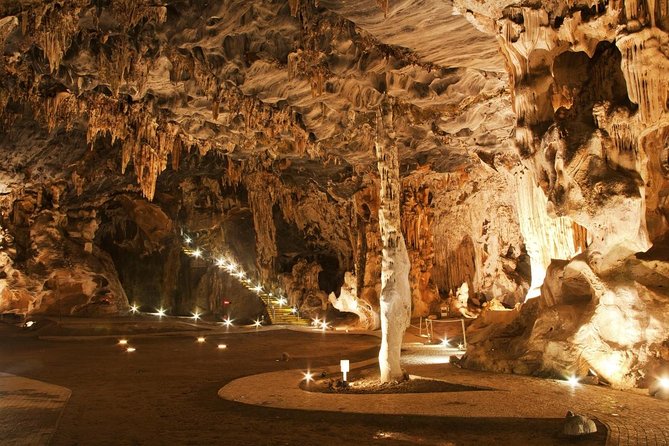 2 Day Small Group Garden Route Big 5 Safari Tour from Cape Town - A fast route from Cape Town to the African bush