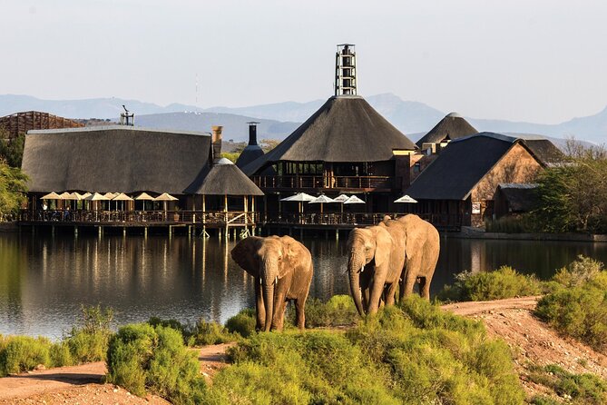2 Day Small Group Garden Route Big 5 Safari Tour from Cape Town - Buffelsdrift combines lunch, elephants, and a first safari
