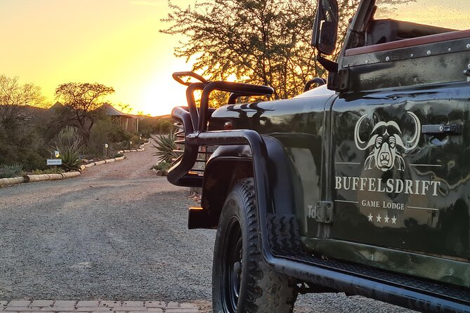 2 Day Small Group Garden Route Big 5 Safari Tour from Cape Town - Morning giraffes and an ostrich tour