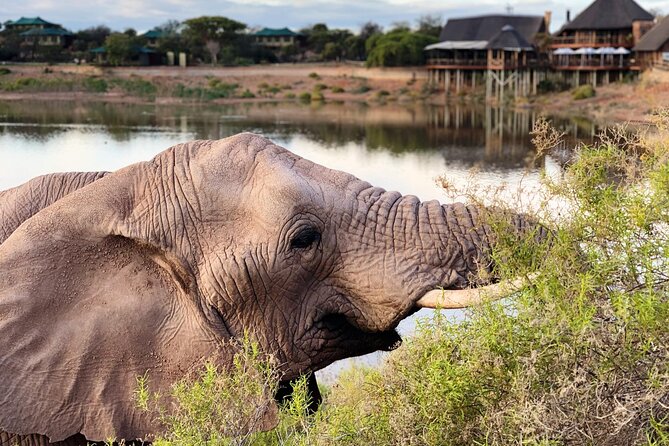 2 Day Small Group Garden Route Big 5 Safari Tour from Cape Town - The long drives shape the whole experience