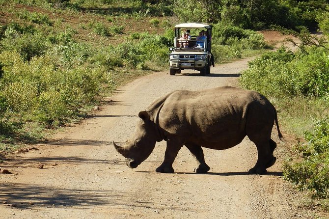 2 Day South African Wildlife Tour with 4x4 Safari from Cape Town - Two safari reserves, one very full weekend