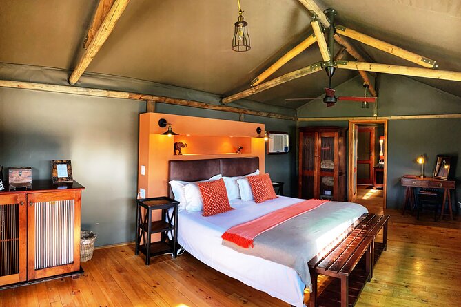 2 Day South African Wildlife Tour with 4x4 Safari from Cape Town - Route 62 makes the return trip worthwhile
