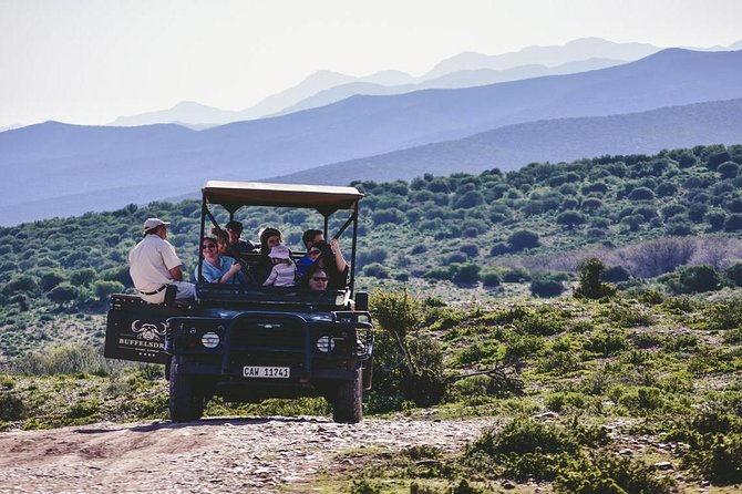 2 Day South African Wildlife Tour with 4x4 Safari from Cape Town - Oudtshoorn gives the night a local feel