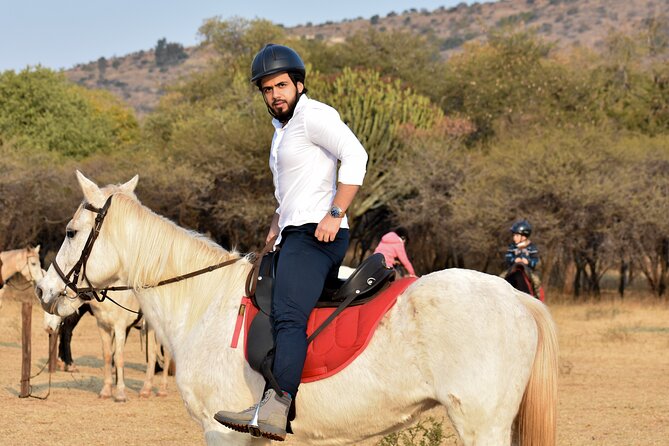 2-Hour Horseback Safari in Hartbeespoort - Riding into Silkaatsnek Nature Reserve