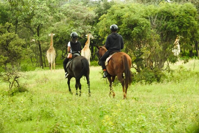 2-Hour Horseback Safari in Hartbeespoort - The second hour and the return to the start
