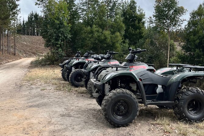 2-Hour Quad Biking Guided Excursion Through the Knysna Forests - Learning the bike before the wooded route