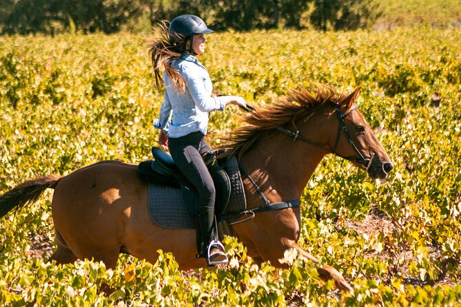 2 Hour Vineyard Trail Ride - Key points at a glance