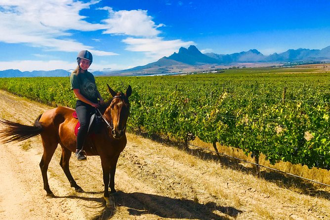 2 Hour Vineyard Trail Ride - Riding into Stellenbosch wine country