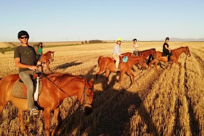 2 Hour Vineyard Trail Ride - Two hours among Vredenheim’s vineyards