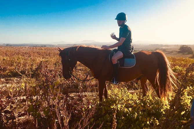 2 Hour Vineyard Trail Ride - Vredenheim Big Cats Park: nearby, but not part of the ride