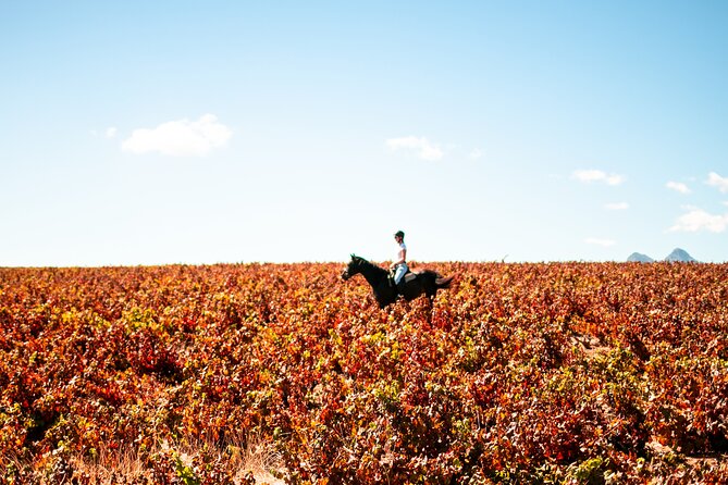 2 Hour Vineyard Trail Ride - Is $113 a fair price?