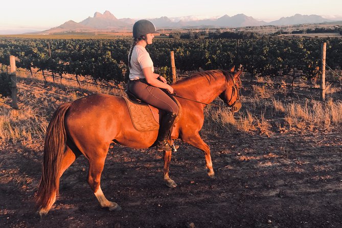 2 Hour Vineyard Trail Ride - Who will enjoy this ride most?