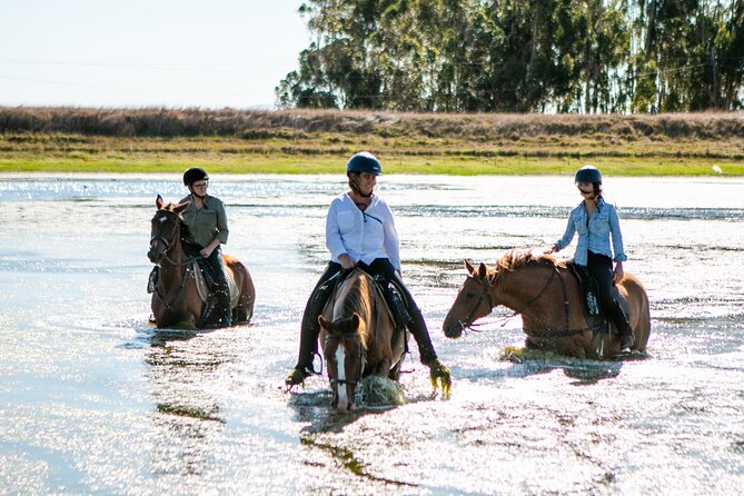 2 Hour Vineyard Trail Ride - Getting started with a short riding lesson