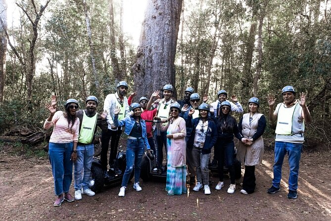 2 Hours Segway Experience in Stormsriver Village - How it compares with walking in Tsitsikamma