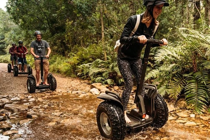 2 Hours Segway Experience in Stormsriver Village - Taking the longer route to the Tsitsikamma Big Tree