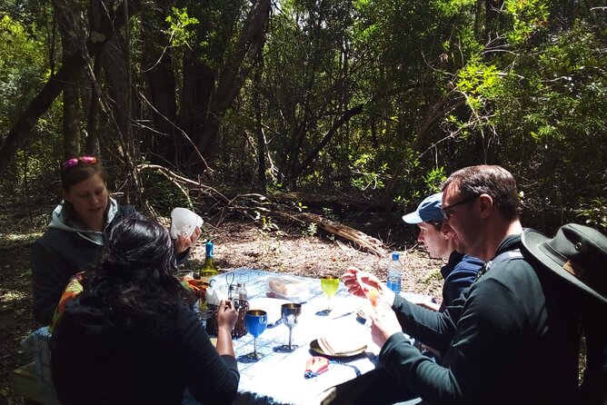 2 Night Tenikwa Experience - The Picnic Lunch and Indigenous Wildlife Tour